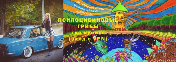 сатива Дмитровск