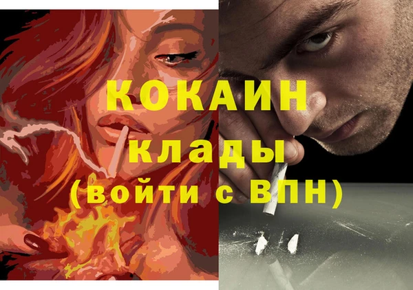 сатива Дмитровск