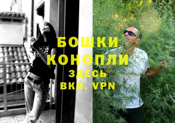 сатива Дмитровск