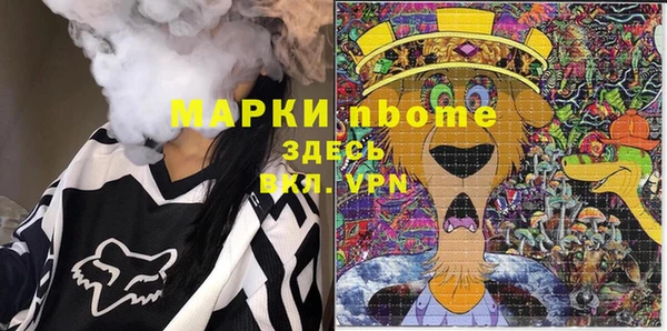 сатива Дмитровск
