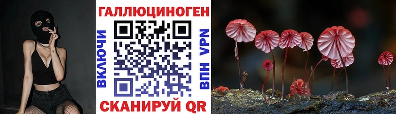 Галлюциногенные грибы Cubensis  Шагонар 